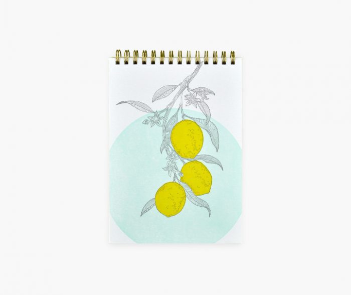 Carnet reporter - Citrons