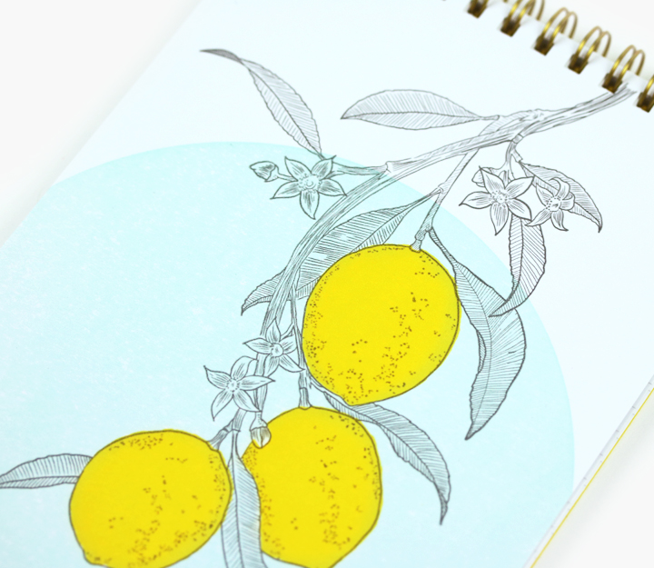 Carnet reporter - Citrons – Image 2
