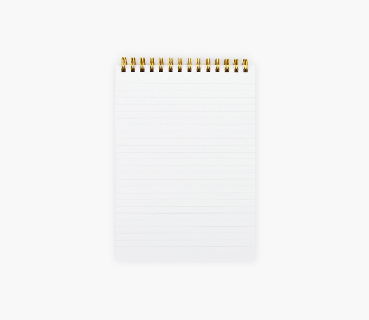 Carnet reporter - Citrons – Image 4