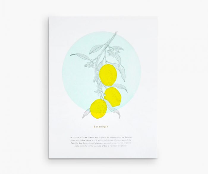 Affiche - Botanique Citrons