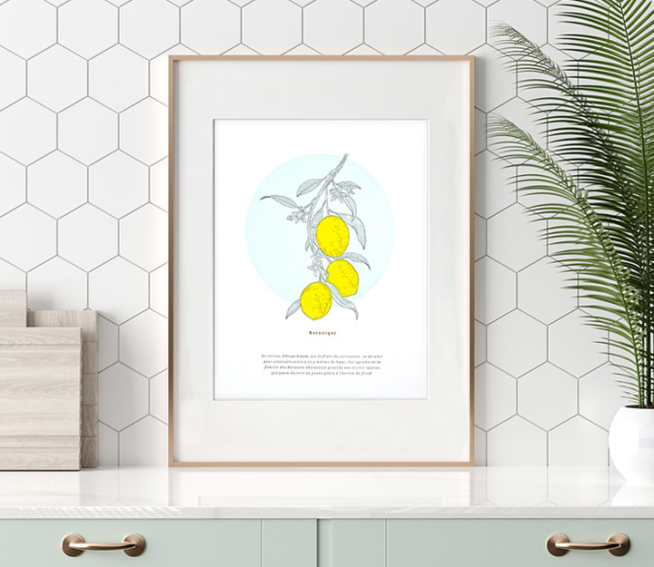 Affiche - Botanique Citrons – Image 2