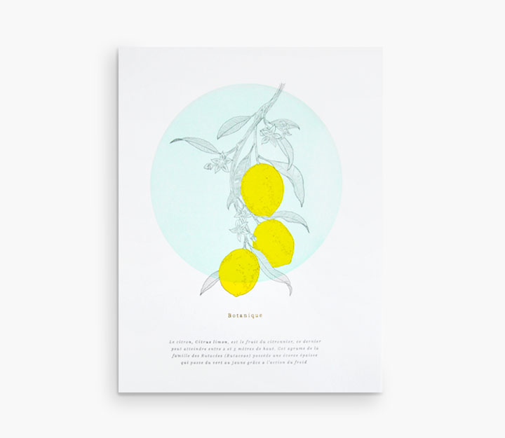 Affiche - Botanique Citrons