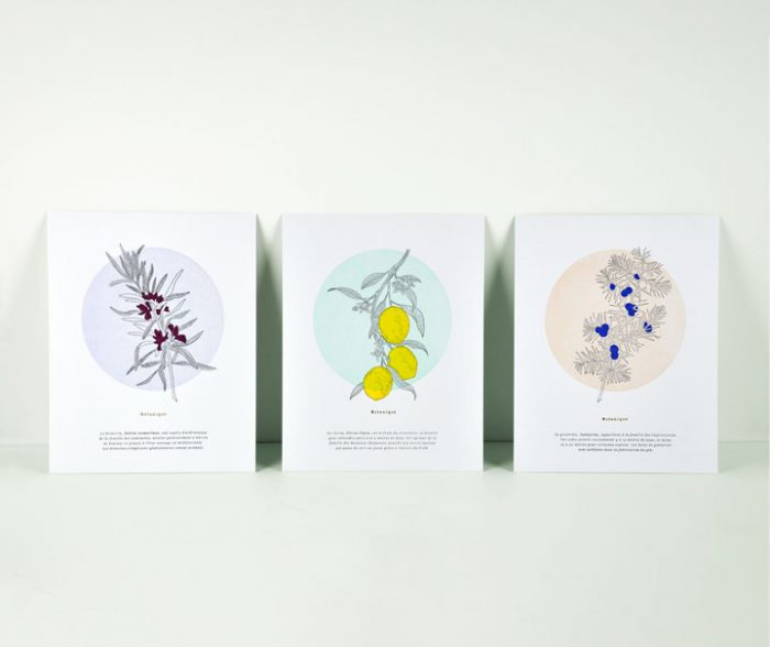 Affiches - Trio Botanique