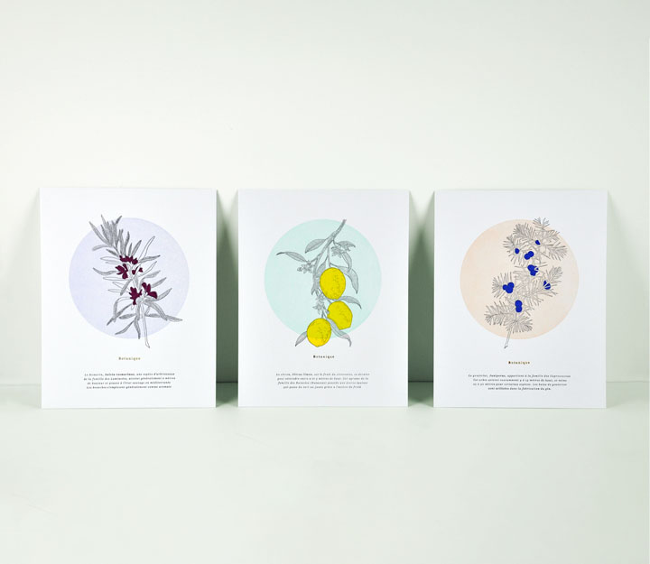 Affiches - Trio Botanique